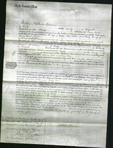 Court of Common Pleas - Isabella Norton and Emily Over-Original Ancestry