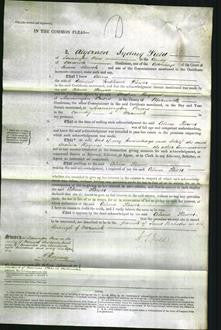 Court of Common Pleas - Celina Flower #2-Original Ancestry