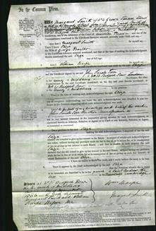 Court of Common Pleas - Eliza Proctor-Original Ancestry