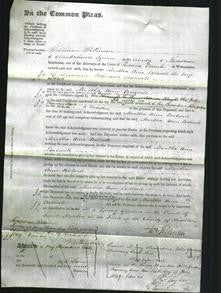 Court of Common Pleas - Martha Ann Bolwell-Original Ancestry