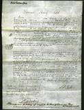 Court of Common Pleas - Susannah Greenwood-Original Ancestry