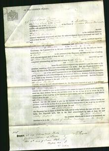 Court of Common Pleas - Salley Bullock and Ann Bullock-Original Ancestry