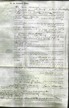 Court of Common Pleas - Elizabeth Liming-Original Ancestry