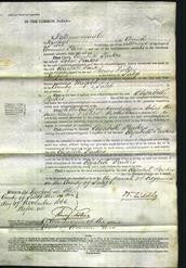 Court of Common Pleas - Elizabeth Parkes-Original Ancestry