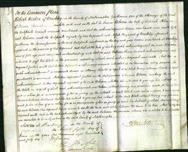 Court of Common Pleas - Rebecca Allen-Original Ancestry