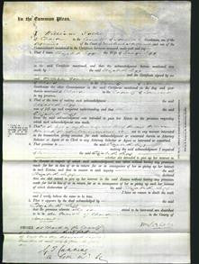 Court of Common Pleas - Elizabeth Legg-Original Ancestry