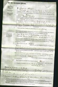 Court of Common Pleas - Rebecca Guilford-Original Ancestry