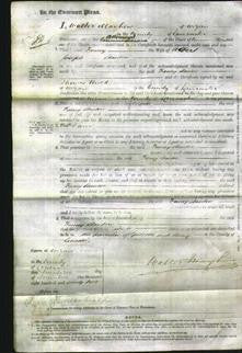 Court of Common Pleas - Fanny Stanton-Original Ancestry