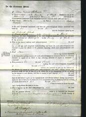 Court of Common Pleas - Sarah Crowe-Original Ancestry