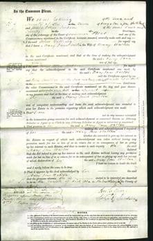 Court of Common Pleas - Mary Jane Walton-Original Ancestry