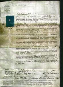 Court of Common Pleas - Eleanor Hart Wigg-Original Ancestry