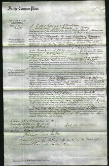 Court of Common Pleas - Charlotte Passmore and Louisa Jane Chapple-Original Ancestry