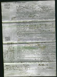 Court of Common Pleas - Mary Anne Carter-Original Ancestry