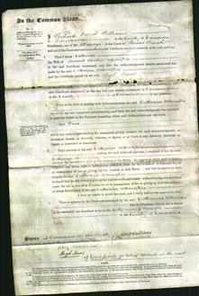 Court of Common Pleas - Catherine Withington-Original Ancestry