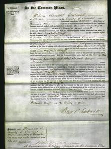 Court of Common Pleas - Ann Marshall Magill-Original Ancestry