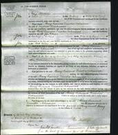 Court of Common Pleas - Mary Jemima Dunder Adamina Buchanon-Original Ancestry