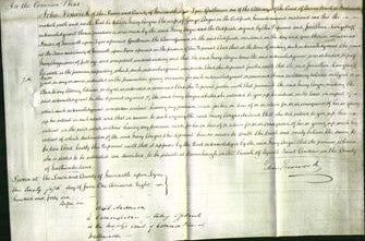 Court of Common Pleas - Mary Angus-Original Ancestry