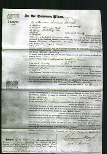 Court of Common Pleas - Lydia Ann Roscoe-Original Ancestry