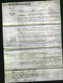 Court of Common Pleas - Mary Ann Maillard-Original Ancestry