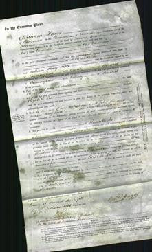 Court of Common Pleas - Elizabeth Lea-Original Ancestry