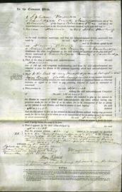 Court of Common Pleas - Hannah Rowling-Original Ancestry