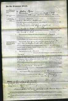Court of Common Pleas - Emma Wilkinson-Original Ancestry