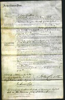Court of Common Pleas - Mary Ann Goddard-Original Ancestry