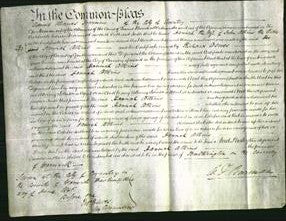 Court of Common Pleas - Hannah Atkins-Original Ancestry
