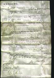 Court of Common Pleas - Mary Ann Cooke-Original Ancestry