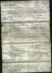 Court of Common Pleas - Mary Goldsack-Original Ancestry