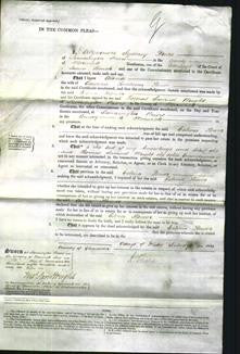 Court of Common Pleas - Celina Flower #3-Original Ancestry