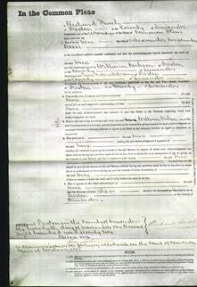 Court of Common Pleas - Jane Rossi-Original Ancestry