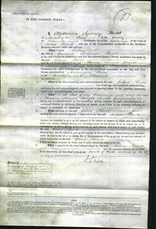 Court of Common Pleas - Celina Flower #4-Original Ancestry