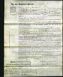 Court of Common Pleas - Anne Langley-Original Ancestry