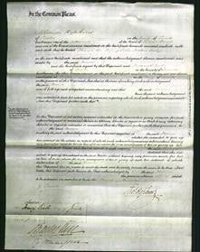 Court of Common Pleas - Maria Cooley-Original Ancestry