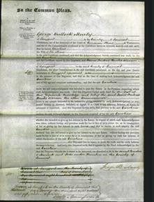 Court of Common Pleas - Caroline Shave-Original Ancestry