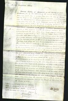 Court of Common Pleas - Mary Ann Bing-Original Ancestry