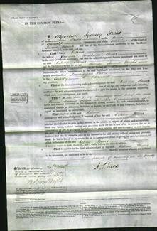 Court of Common Pleas - Celina Flower #5-Original Ancestry