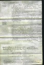 Court of Common Pleas - Ann Elizabeth Musselwhite-Original Ancestry