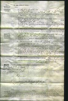 Court of Common Pleas - Elizabeth Linnell-Original Ancestry