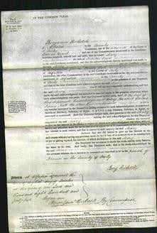 Court of Common Pleas - Mary Wood-Original Ancestry