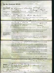 Court of Common Pleas - Mary Bastard-Original Ancestry