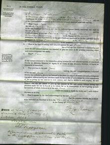 Court of Common Pleas - Jane Newcome-Original Ancestry