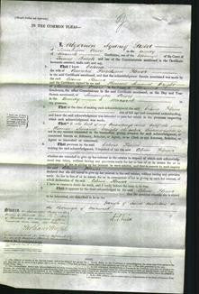 Court of Common Pleas - Celina Flower #6-Original Ancestry