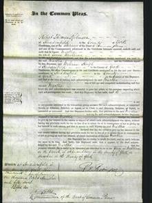 Court of Common Pleas - Martha Woodhead-Original Ancestry