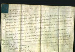 Court of Common Pleas - Grace Walker-Original Ancestry