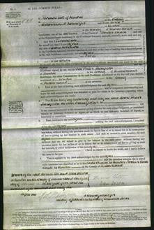 Court of Common Pleas - Agnes Robinson-Original Ancestry