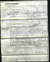 Court of Common Pleas - Rebeca Riley-Original Ancestry