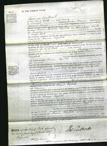 Court of Common Pleas - Marian Milsom, Elizabeth Banks and Jemima hill-Original Ancestry