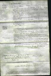 Court of Common Pleas - Ann Elizabeth Musselwhite-Original Ancestry